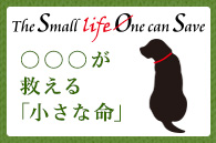 The Small life One can Save ○○○が救える「小さな命」