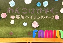 <strong>小型犬用 室内わんっだふるドッグラン</strong>