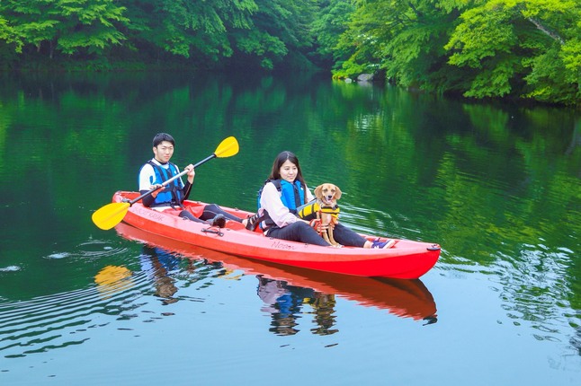 愛犬と一緒にカヌー体験!WON KAYAK (ワンカヤック)