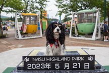 パレットタウンゴンドラ