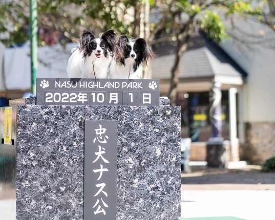 忠犬ナス公