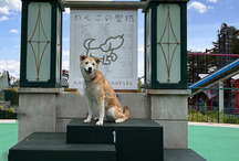 わんわんトラック