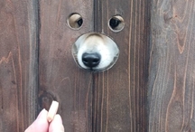 ダイナー横スポット