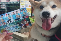 わんちゃんと一緒に撮影できる!プリントシール機