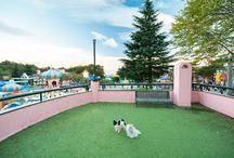 <strong>小型犬用 タウンセンタードッグラン</strong>