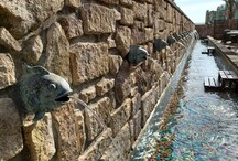 わんちゃん水遊び場