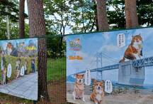 柴犬スティーブch ターポリン