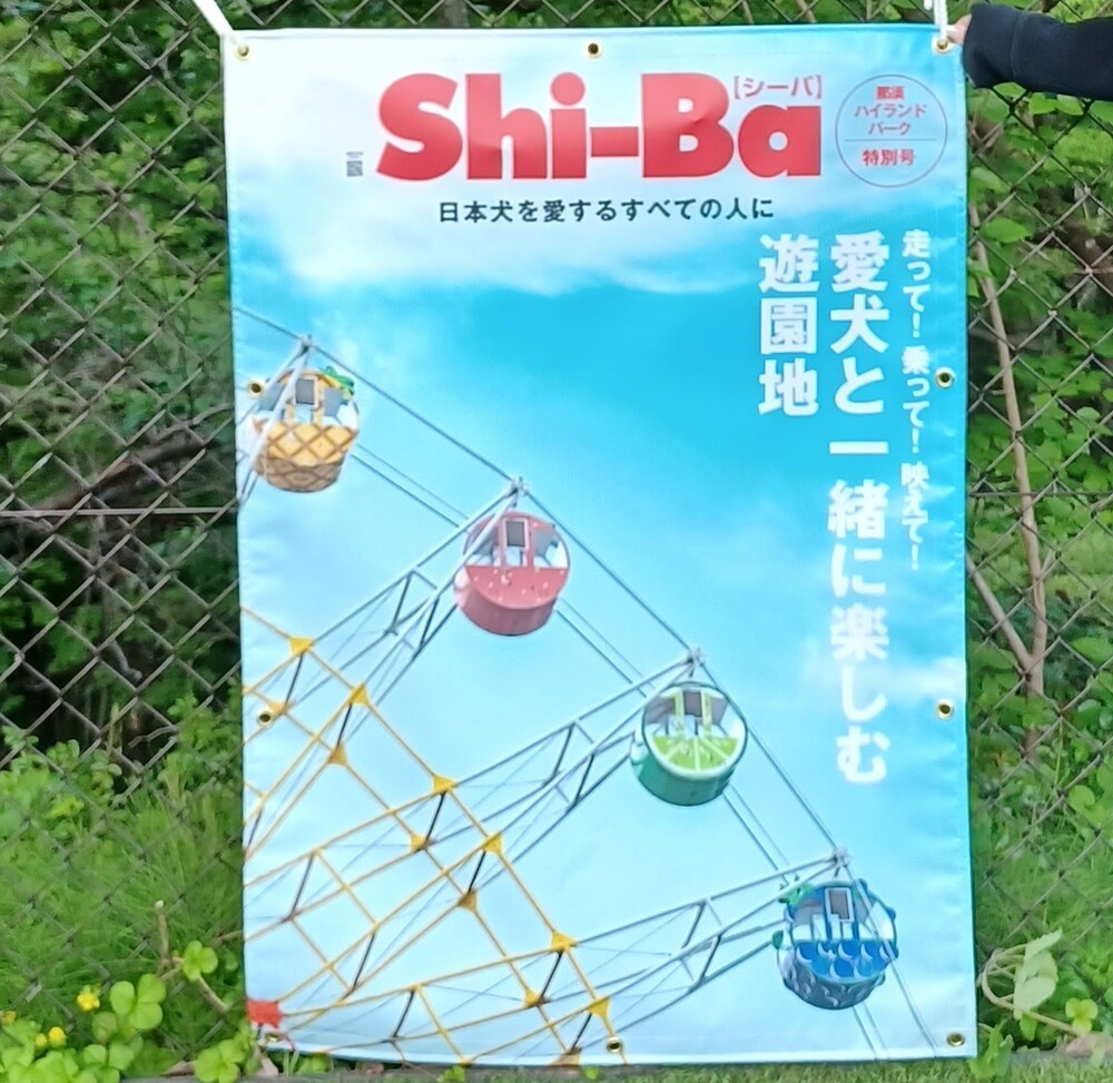 『Shi-Ba』表紙風ターポリン