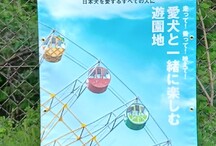 『Shi-Ba』表紙風ターポリン