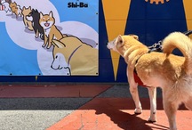 ウーピーズキングダム横スポット