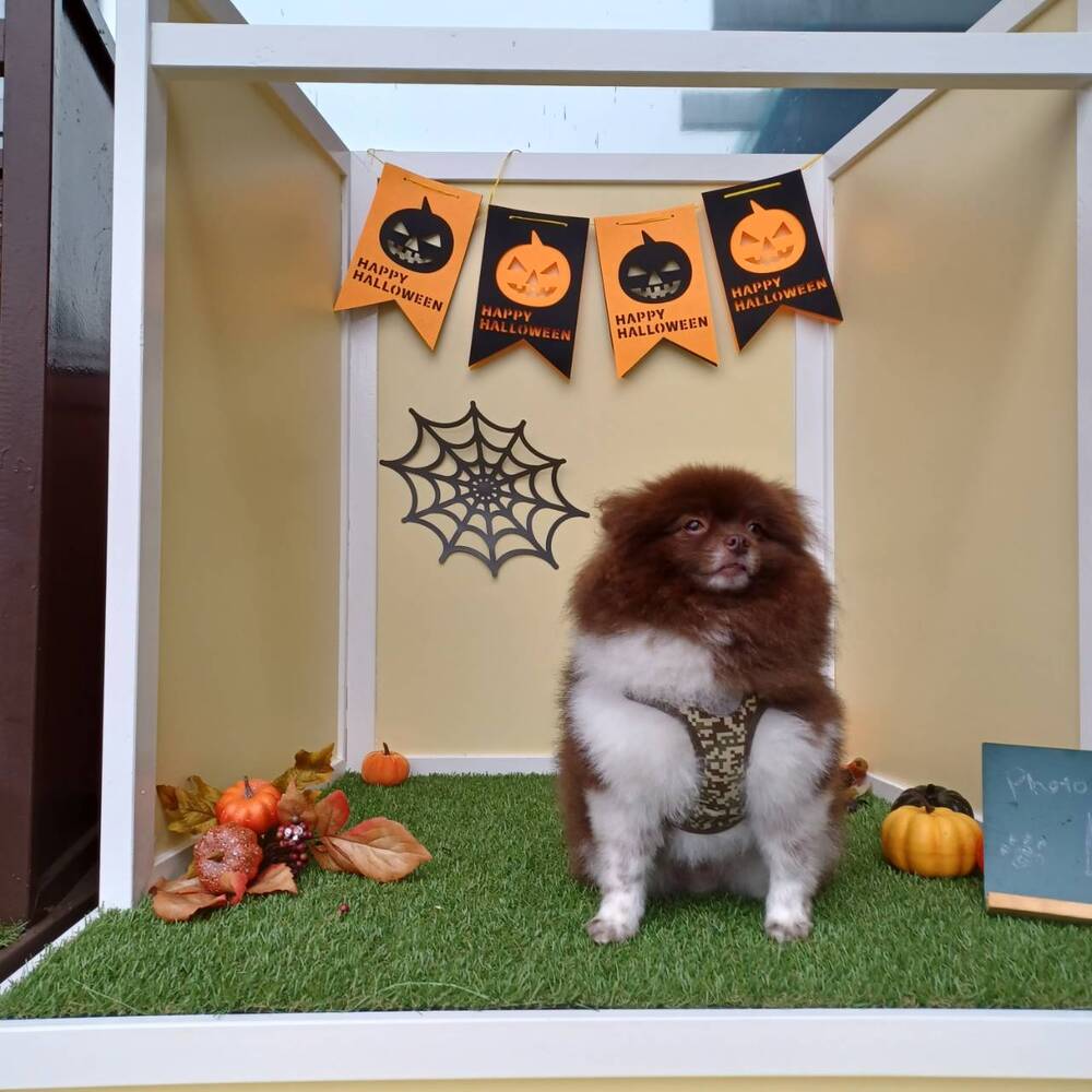 季節のフォトスポット