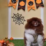 季節のフォトスポット