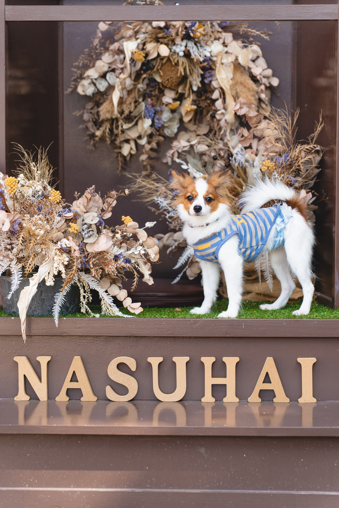 ドライフラワーアレンジメント