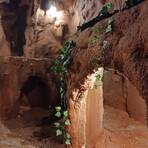 洞窟探検MOGURA わんちゃんフォトスポット