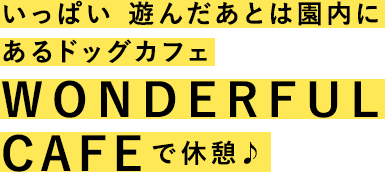 いっぱい遊んだあとは園内にあるドッグカフェWONDERFUL CAFEで休憩♪