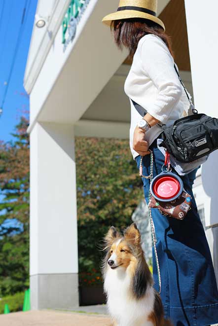 那須ハイランドパークで愛犬と過ごそう 那須ハイランドパーク 那須の大自然に囲まれたレジャーランド 栃木県