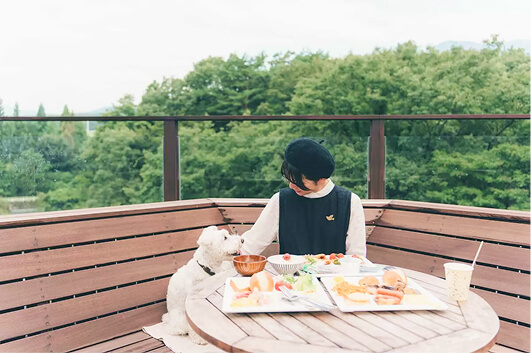 わんこ同伴可レストラン