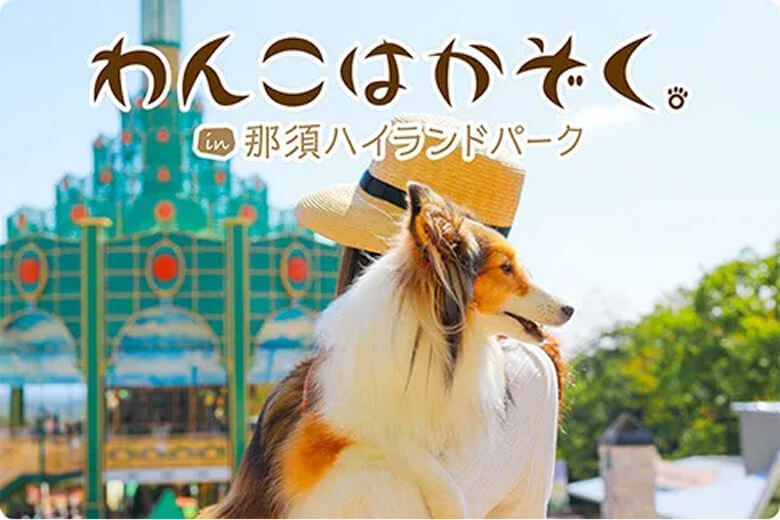 宿泊期間中は那須ハイランドパークの入園料が何回でも無料