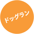 ドッグラン