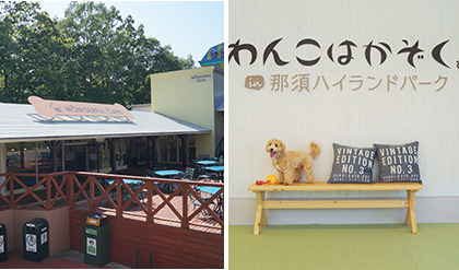 ワンちゃんと一緒 那須ハイランドパーク 那須の大自然に囲まれたレジャーランド 栃木県