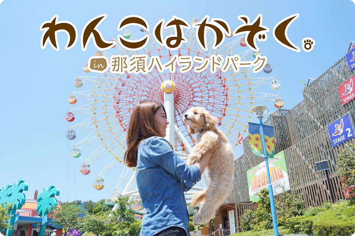 わんこはかぞくin那須ハイランドパーク