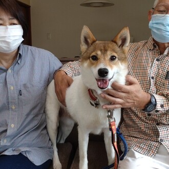 保護犬譲渡活動 Sos活動 那須ハイランドパーク 那須の大自然に囲まれたレジャーランド 栃木県