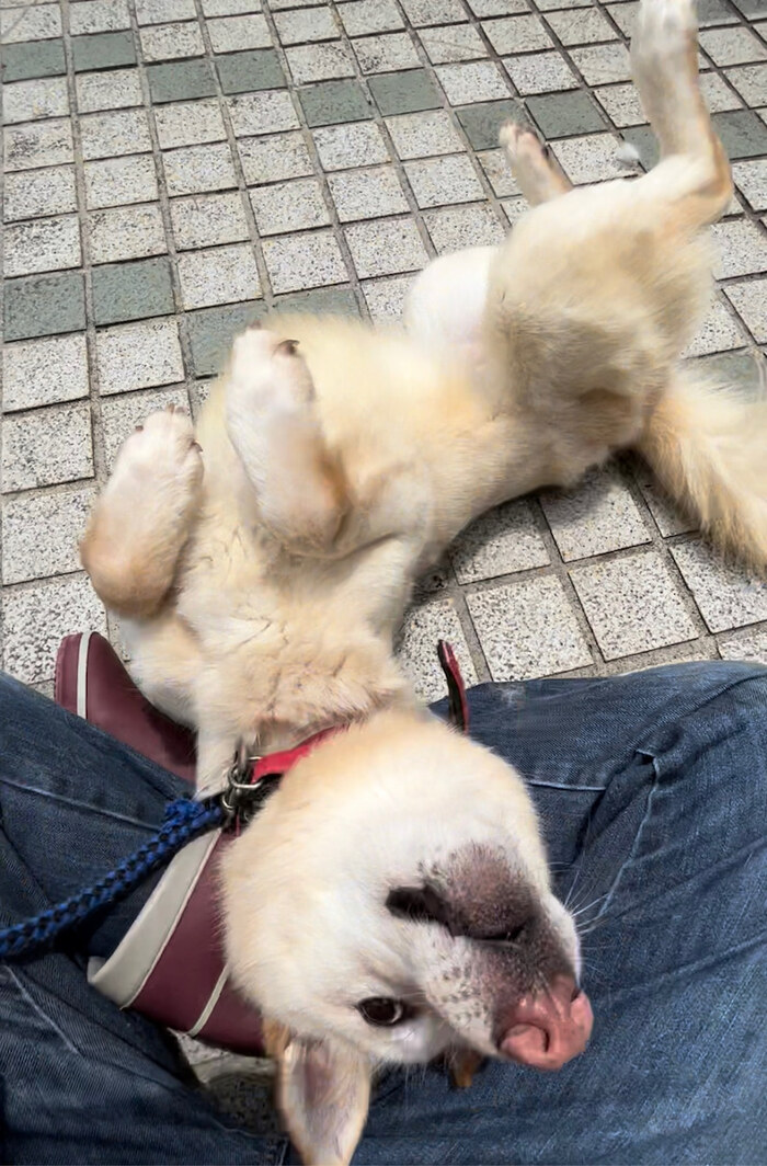 カーロ（陽太）