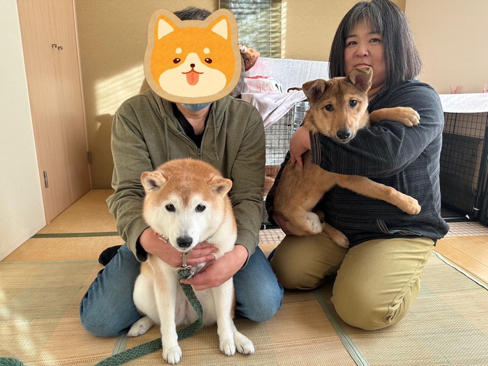 ラン