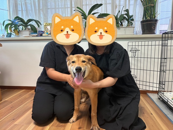 げんた（チップ）