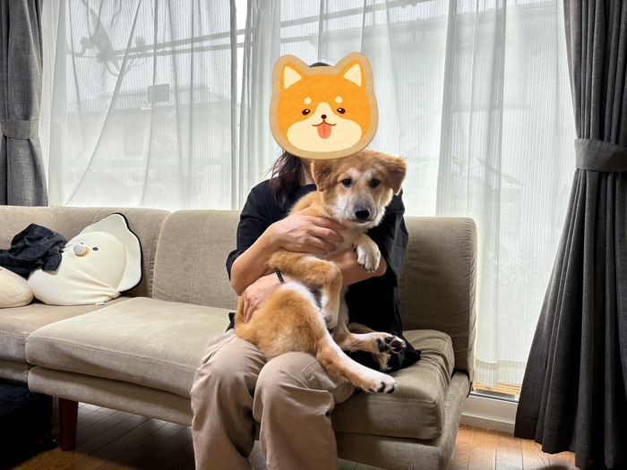 ちくわ（モッピー）