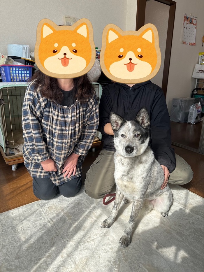 ムーン