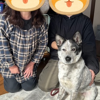 ムーン