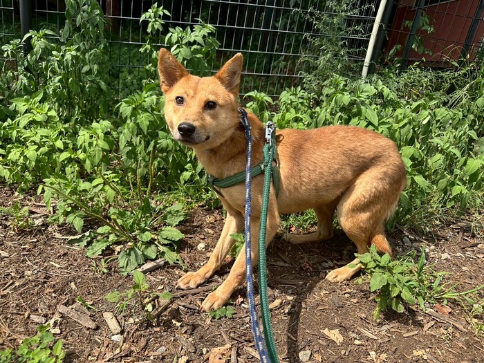 キュー