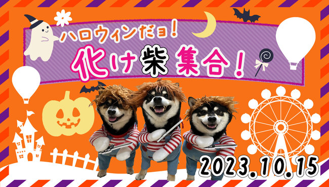 お知らせ｜​10/15（日）柴犬オフ会「ハロウィンだョ！化け柴集合！」の