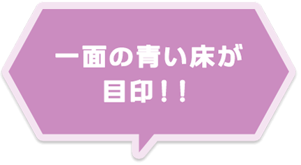 パーク内最大のレストラン！