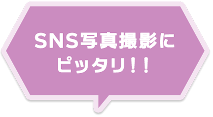 パーク内最大のレストラン！