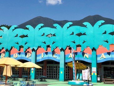 レストラン トロピカーナ