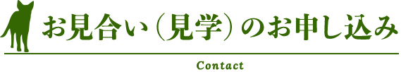 お見合い（見学）のお申し込み contact