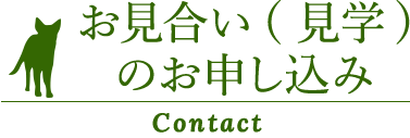 お見合い（見学）のお申し込み contact