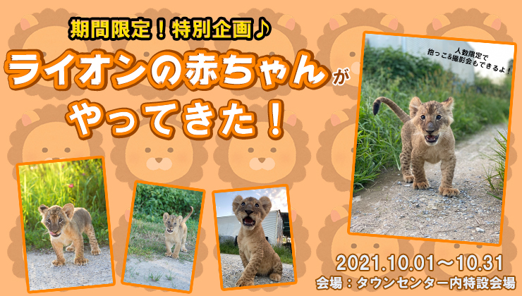 那須ハイランドパーク 那須の大自然に囲まれたレジャーランド 栃木県