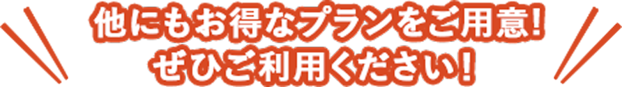 他にもお得なプランをご用意!ぜひご利用ください!